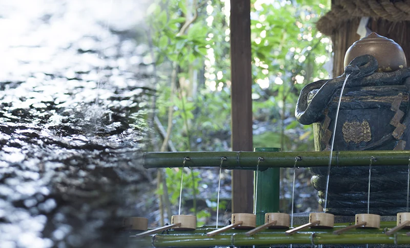 みむろ杉 純米大吟醸に迫る