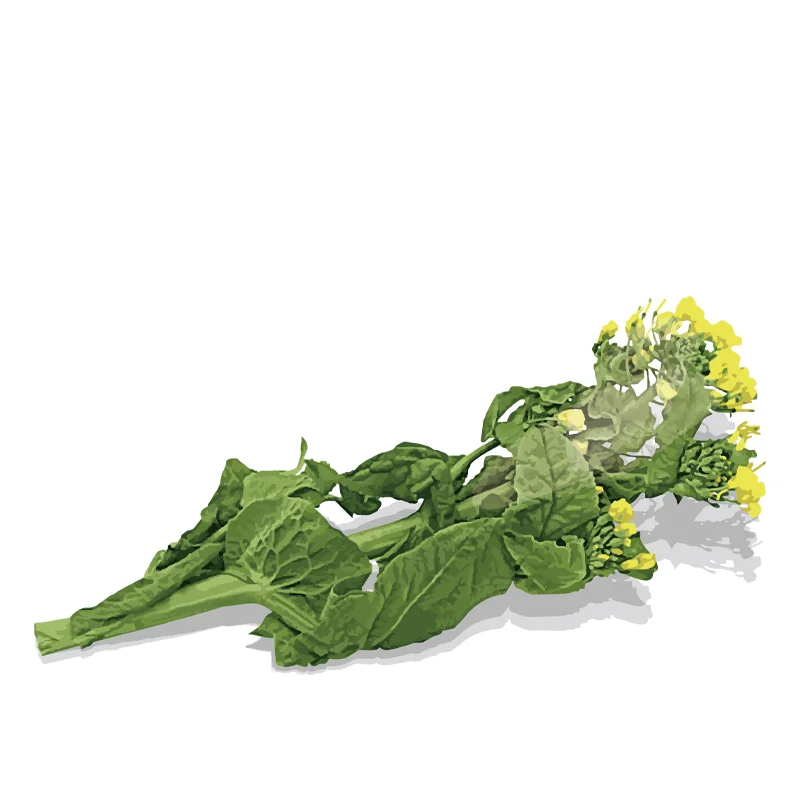 ホタルイカと菜の花塩麹和え