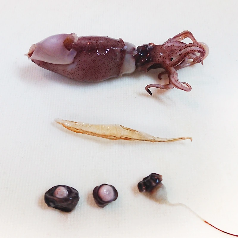 ホタルイカと菜の花塩麹和え