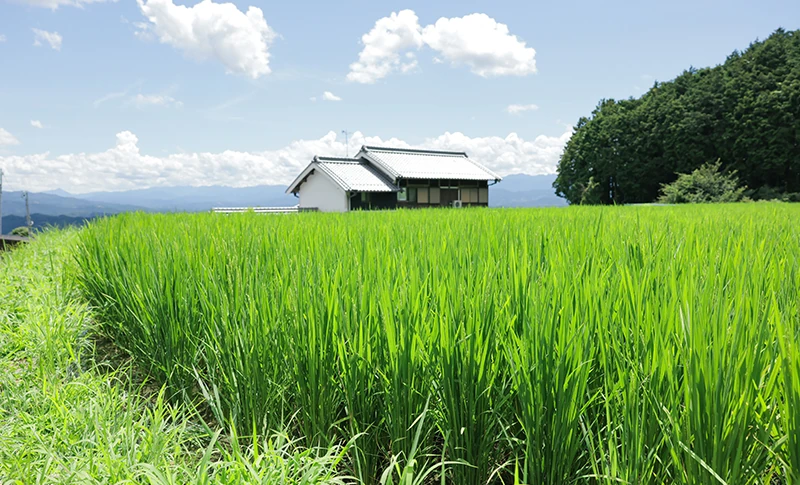 地鎮祭