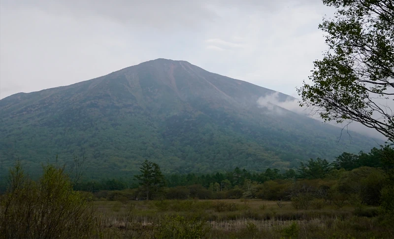 日光の天然林の恵み