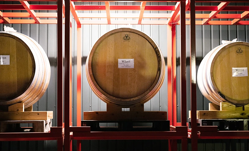 日光の天然林の恵み