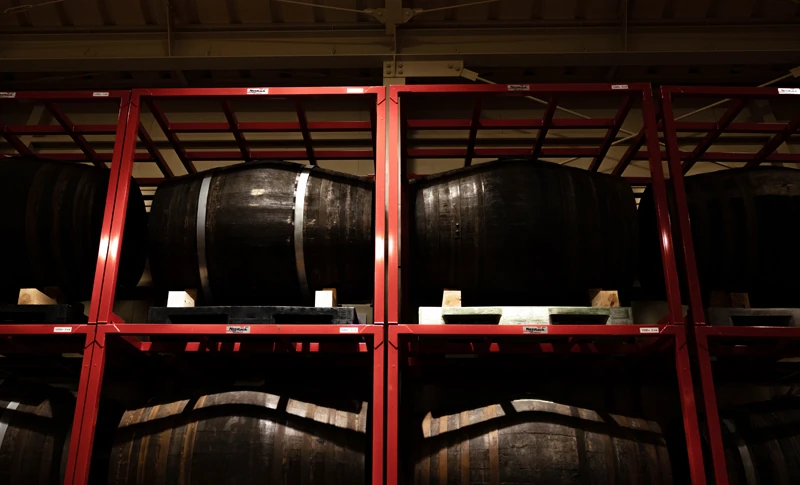 日光の天然林の恵み