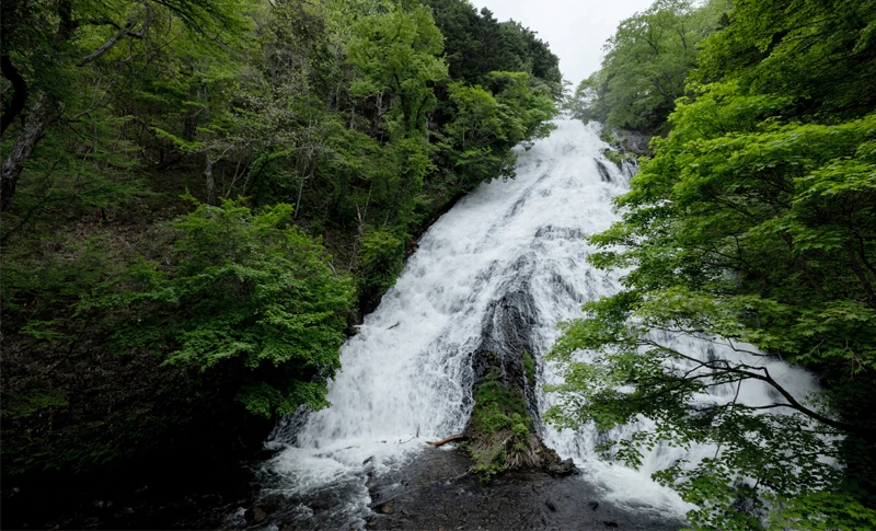 日光東照宮の魅力