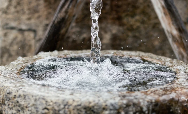 油長酒造 新ブランド「水端」～よみがえる日本酒の源流～ 後編