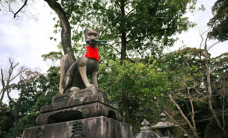 日々醸造見学