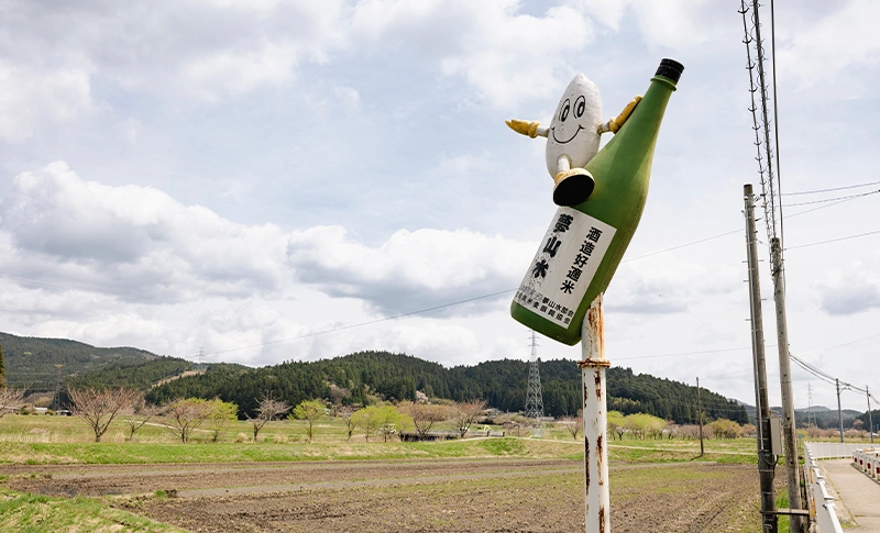 関谷醸造見学