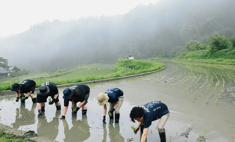 酒屋が参画する「特別な風の森」～棚田での田植え作業～