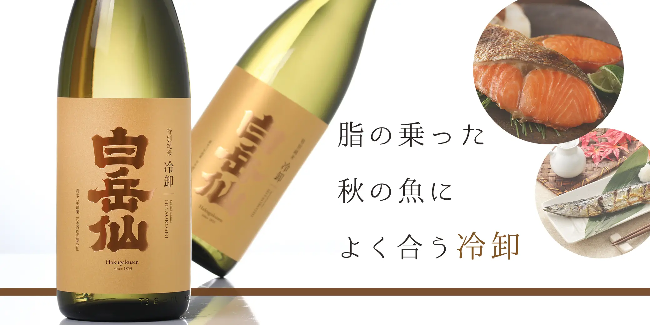 白岳仙 特別純米 冷卸