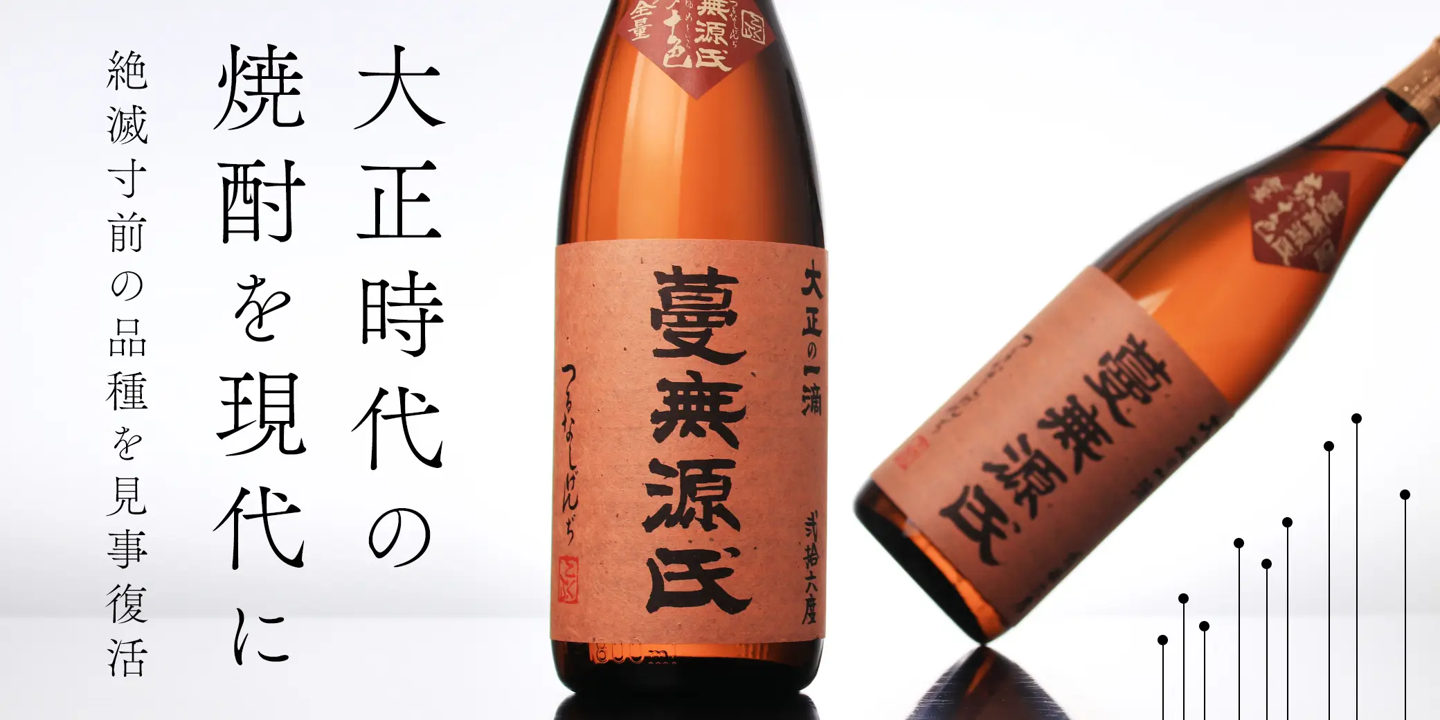 蔓無源氏
