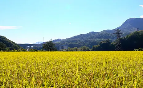 浅間酒造の酒蔵