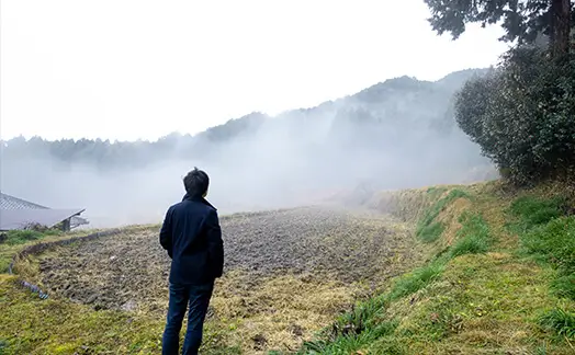 風の森契約田園