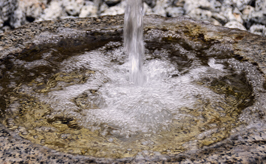 風の森を造る水