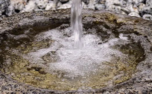 風の森を造る水