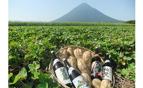 田村合名会社の酒蔵