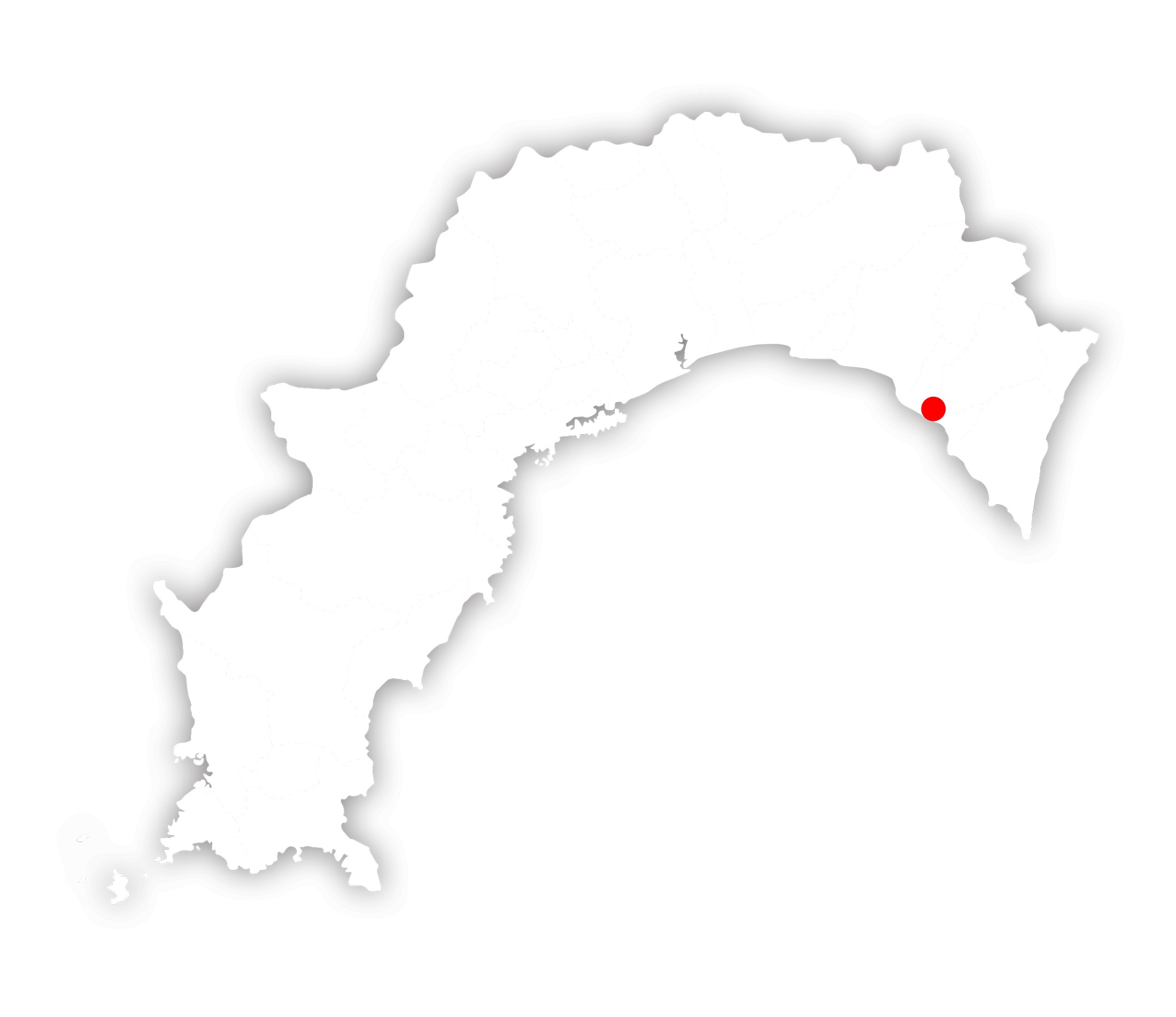 美丈夫(濱川商店)高知県