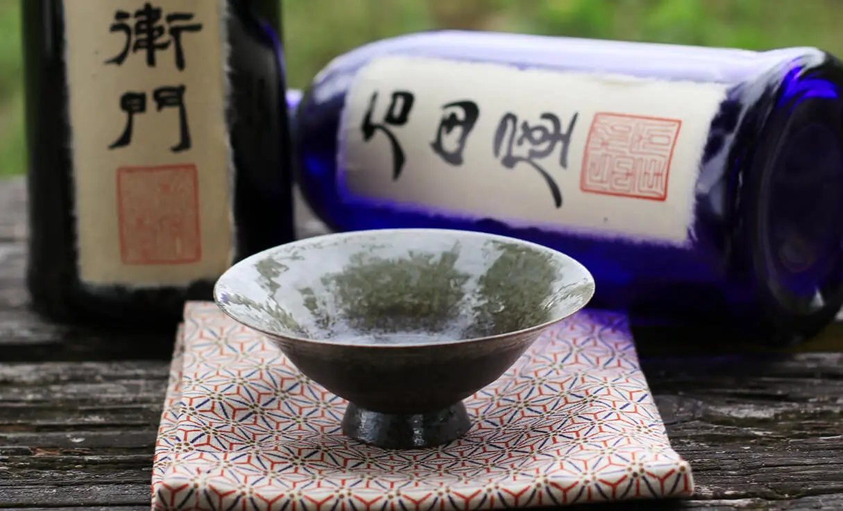 黒龍 平盃 越前焼 (黒)